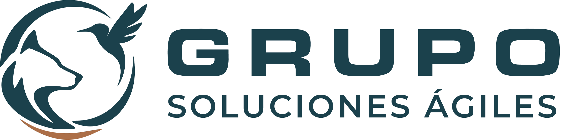 Grupo Soluciones Ágiles